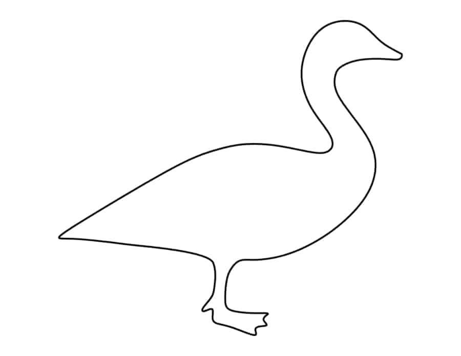 Canada Goose Coloring Pages Pdf Free Vectors